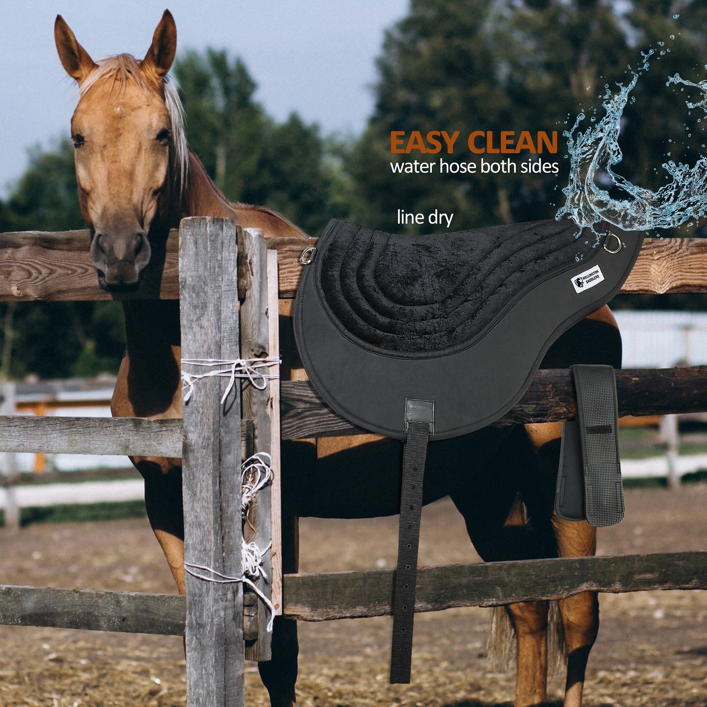 Horse Saddle Pads- Bareback Pad-Black with Girth